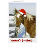 Horse Season's Greetings Greeting Cards