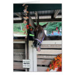 Horse Sense cards