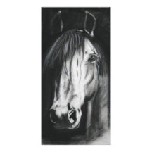 Horse sense photo card