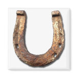 Horse Shoe Magnet
