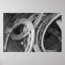 Horse Shoe Print
