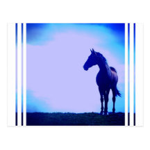 Horse Silhouette Design Postcard
