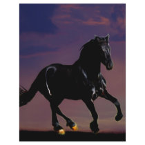 Horse silhouette galloping free at sunset personalised flyer