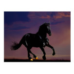 Horse silhouette galloping free at sunset postcards
