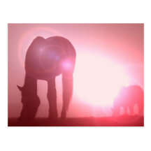 Horse Silhouette Postcard