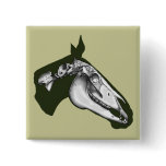 Horse Skeleton buttons