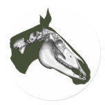 Horse Skeleton stickers