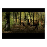 Horse Spirits Notecards