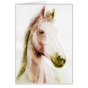 horse study cards