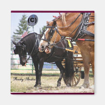 Horse Talk magnets