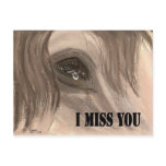 horse tears i miss you card postcards