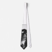 Horse Neckties