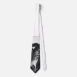 Horse ties