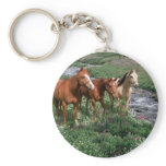 Horse Trio Keychain