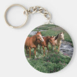 Horse Trio Keychain