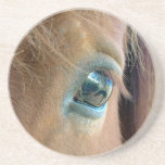 Horse Vision Coasters