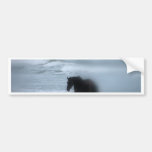 Horse walking the beach Newport Rhode Island Bumper Stickers