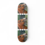 Horse with Bridle Skateboard