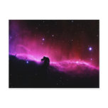Horsehead Nebula postcards