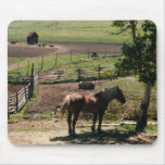 Horses 221 Mousepad
