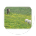 Horses 8W53D-06 stickers
