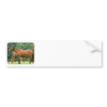Horses 9A81D-10 bumper stickers