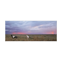 Horses After the Storm Gallery Wrap Canvas