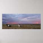 Horses After the Storm Posters