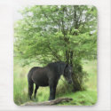 HORSES AND PONIES mousepads