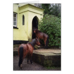 Horses at a pub cards