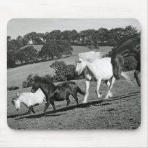 Horses At Play Mousepad