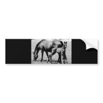 Horses Bumper Sticker