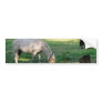 Horses Bumper Stickers