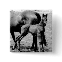 Horses Pinback Button