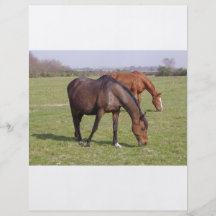 Horses - Chevaux Prospectus