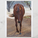 Horses coming home personalised flyer