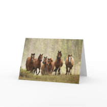 Horses cresting small hill during roundup, 2 greeting cards