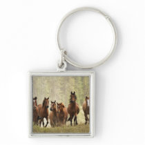 Horses cresting small hill during roundup, 2 key chain
