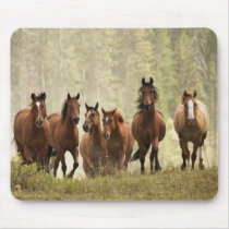 Horses cresting small hill during roundup, 2 mouse pads