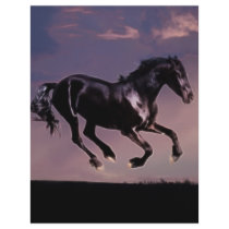 Horses Dance silhouette at sunset Full Color Flyer