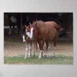 Horses Design posters