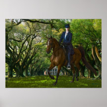Horses - English tack - Aristocracy Posters