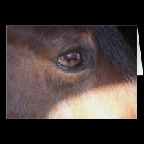 Horse's Eye View [card]