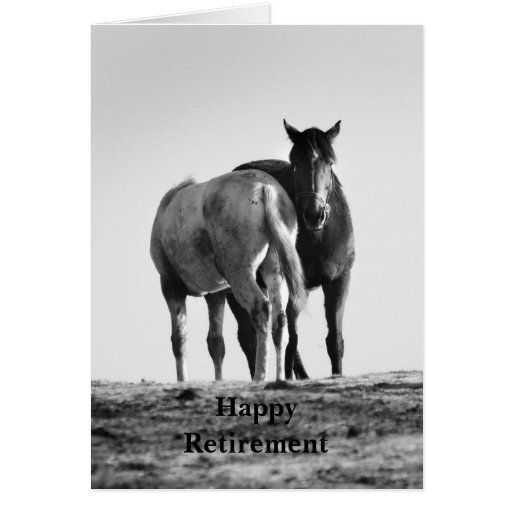 Horses Grazing Happy Retirement Card Zazzle