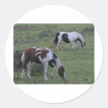 Horses Grazing Sticker
