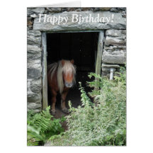 HORSES GREETING CARD