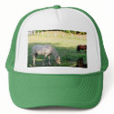 Horses hats