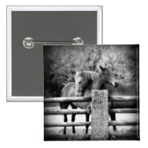 Horses Hugging - Horse Love Photograph Pinback Buttons