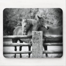 Horses Hugging - Horse Love Photograph Mouse Pad
