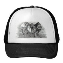 HORSES IN LOVE: PENCIL REALISM HAT